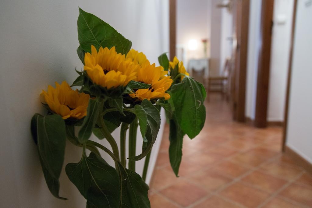 Casa Rural Migolla Osuna Kültér fotó